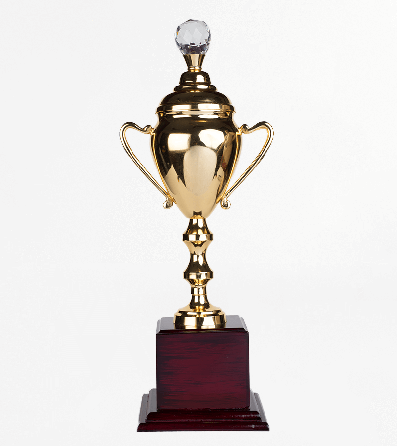 Metal Trophy Manufacturers